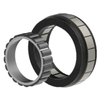 MOONS' VKA050-008-ANN-000 VK Series Frameless Motor